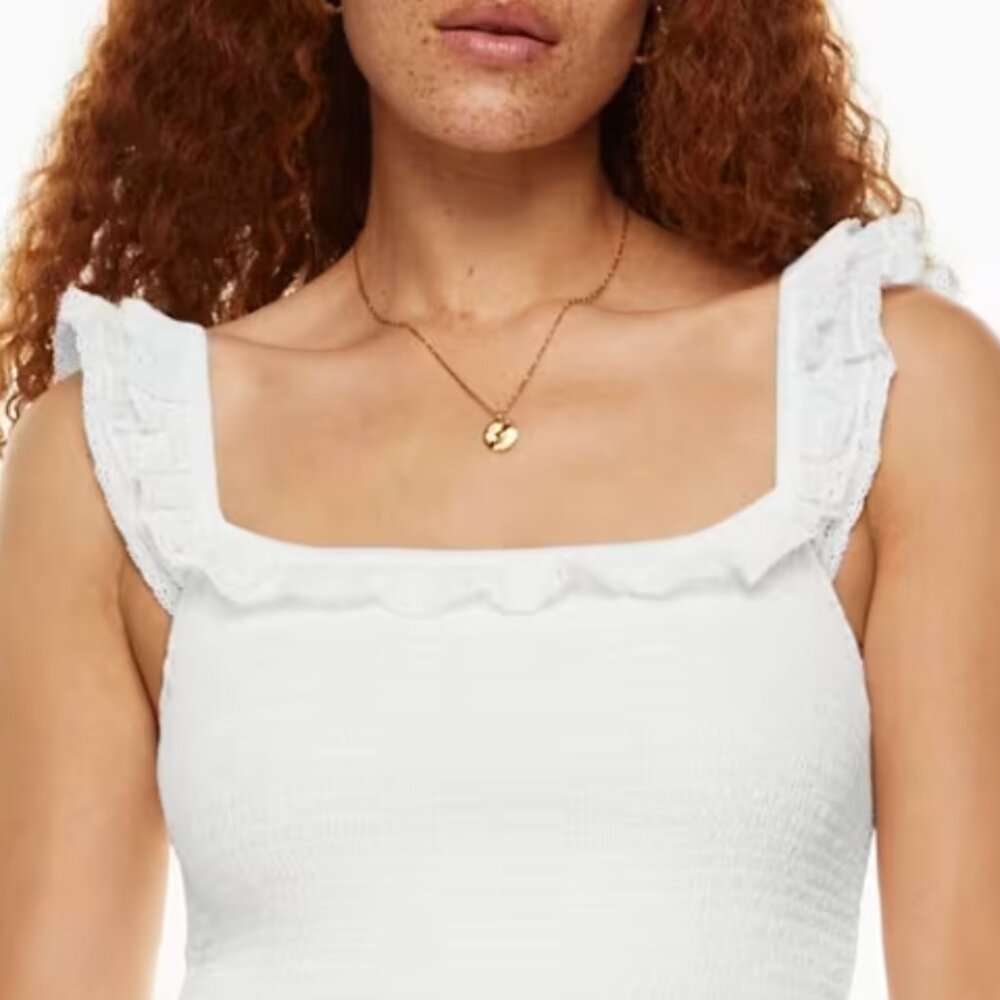 Aritzia Wilfred Reminisce Dress